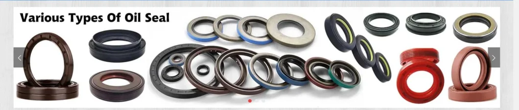 Ex O-Ring Kit Excavator O-Ring Kit Excavator Oil Seal Oring Box